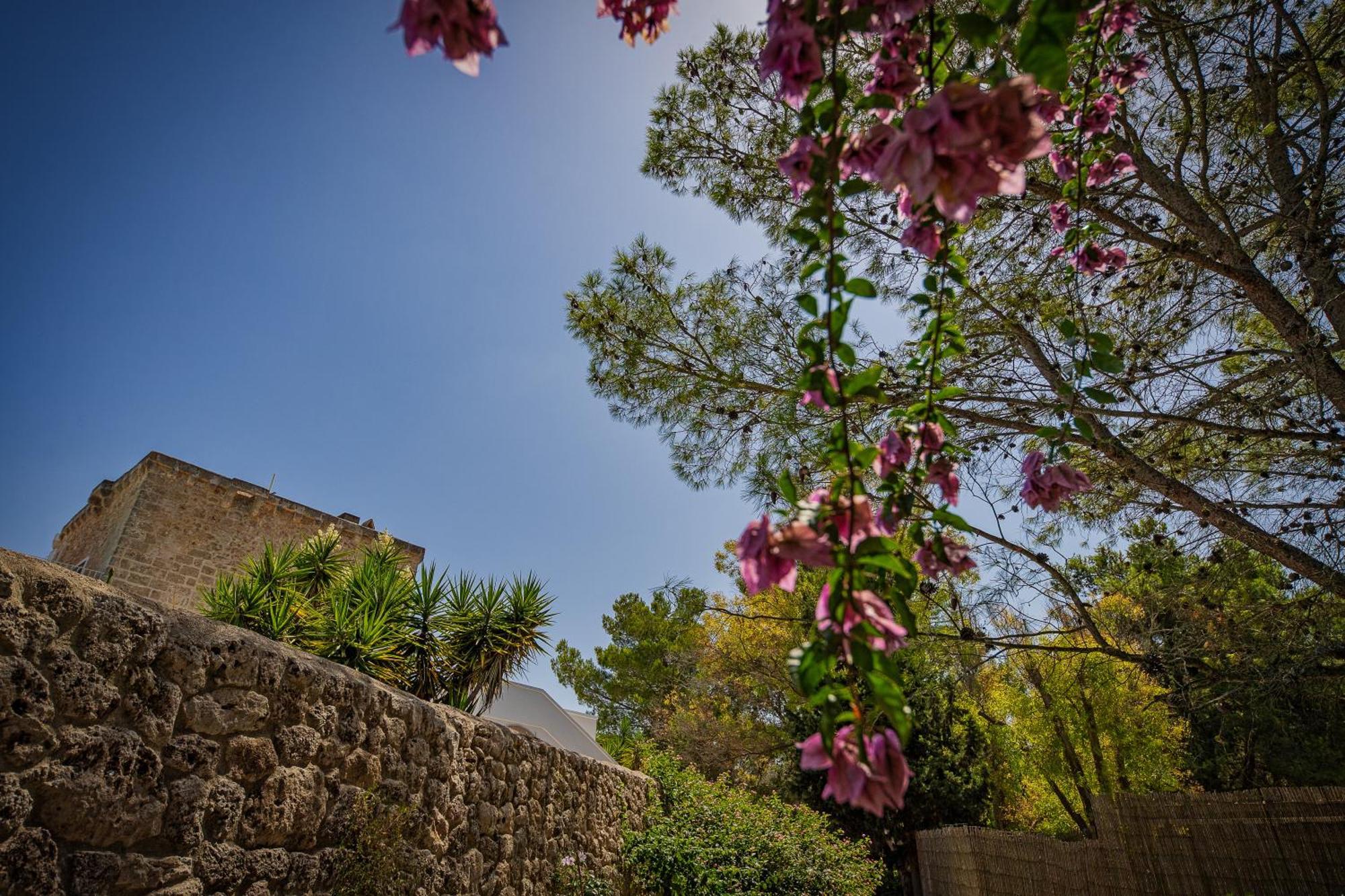 Torre Casciani Villa Ugento Exterior photo